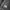 The North Face Gorpcore Puffer jacket Pria black photo 3