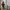 The North Face Gorpcore Puffer jacket Pria black photo 1