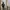 The North Face Gorpcore Puffer Jacket Pria Black
