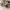 ZARA Casual Sneakers Wanita multicolor photo 3