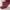 Casual Boots Kids multicolor photo 3