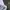 A Bathing Ape Casual T-shirt Pria white photo 6