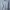 Tommy Hilfiger Casual Sweatshirt Pria white photo 4