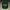 MLB Y2K Hat Pria green photo 1