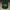 MLB Y2K Hat Pria Green