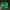 MLB Y2K Hat Pria green photo 2