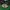 MLB Y2K Hat Pria green photo 3