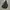 Mizuno Gorpcore Bag Pria black yellow photo 1