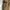 Vintage Streetwear Parka Pria khaki photo 5