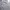 ZARA Minimalist Casual Crop top Wanita white photo 3
