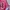 Marc Jacobs Luxury Backpack Wanita red photo 6