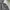 Final Home Gorpcore Windbreaker Pria gray photo 6