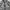 Final Home Gorpcore Windbreaker Pria gray photo 3