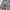 Final Home Gorpcore Windbreaker Pria gray photo 5