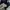 Dickies Casual Casual pants Pria navy photo 6
