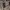 H&M Avant Garde Mini skirt Wanita tan black photo 3