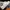 Adidas Streetwear Sneakers Pria white photo 1