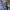 Converse Streetwear Casual Casual shirt Pria blue photo 4