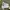 New Balance Casual Sneakers Pria white gray photo 2