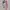 Skechers Casual Sneakers Kids multicolor pink photo 2