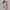 Skechers Casual Sneakers Kids Multicolor Pink