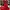 Vintage Pakaian Nasional Shirt Dress Wanita Red