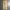Uniform Bridge Streetwear Casual Pants Pria Tan Cream