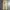 Uniform Bridge Streetwear Casual pants Pria tan cream photo 6