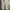 Uniform Bridge Streetwear Casual pants Pria tan cream photo 8