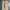 Uniform Bridge Streetwear Casual pants Pria tan cream photo 3
