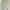 Japanese brand Vintage Skirt Wanita tan cream photo 1