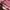 Gucci Luxury Minimalist Crossbody Bag Wanita red photo 7