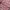 Vintage Cardigan Wanita pink photo 2