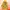Streetwear Sportswear Hoody Pria yellow photo 1