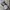 Dickies Vintage Y2K Bag Pria white photo 1