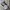 Dickies Vintage Y2K Bag Pria White