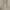 Polo Ralph Lauren Casual Casual pants Pria tan photo 1