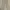 Polo Ralph Lauren Casual Casual Pants Pria Tan