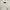 COMME des GARÇONS Casual Maxi dress Wanita white photo 6