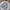 Casual Crop top Wanita multicolor photo 3