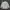 Casual Windbreaker Pria white gray photo 5