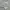 Casual Windbreaker Pria white gray photo 4