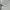 Casual Windbreaker Pria white gray photo 3