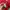 MLB Streetwear Sportswear T-shirt Pria multicolor photo 5