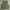 Streetwear Y2K Vest Pria green photo 2