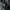 Uniqlo Vintage Streetwear Polo shirt Pria green navy photo 3