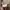 Japanese brand Coquette Casual Blouse Wanita tan cream photo 4