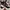 VANS Skater Sneakers Pria white black photo 1