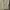 WHO.A.U Vintage Hoody Pria cream photo 4