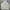 WHO.A.U Vintage Hoody Pria cream photo 1